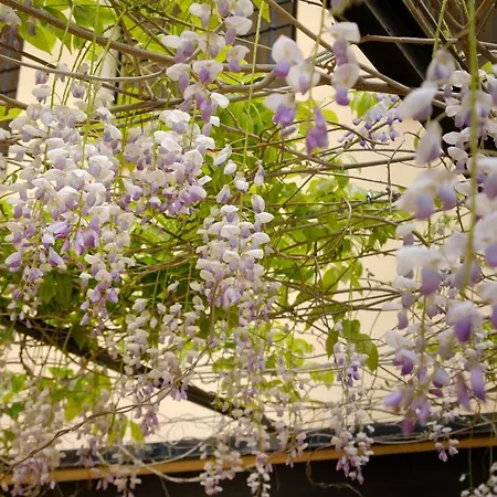 בית נופש Casa Lucia